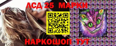 стафф Кинель