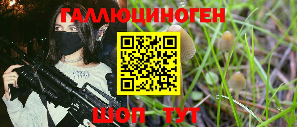 Истра  Псилоцибиновые грибы MAGIC MUSHROOMS  Псилоцибиновые грибы Magic Shrooms  Вход с VPN 